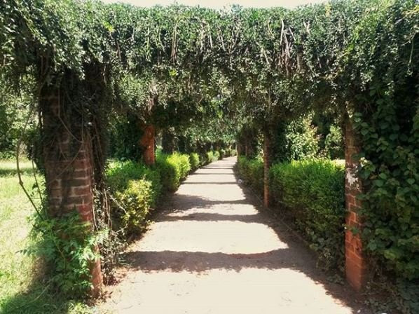 Harare Gardens景点图片