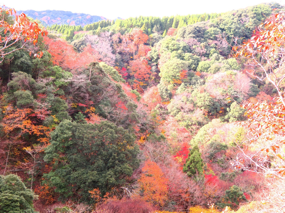 Umegase Valley-市原市必去景点