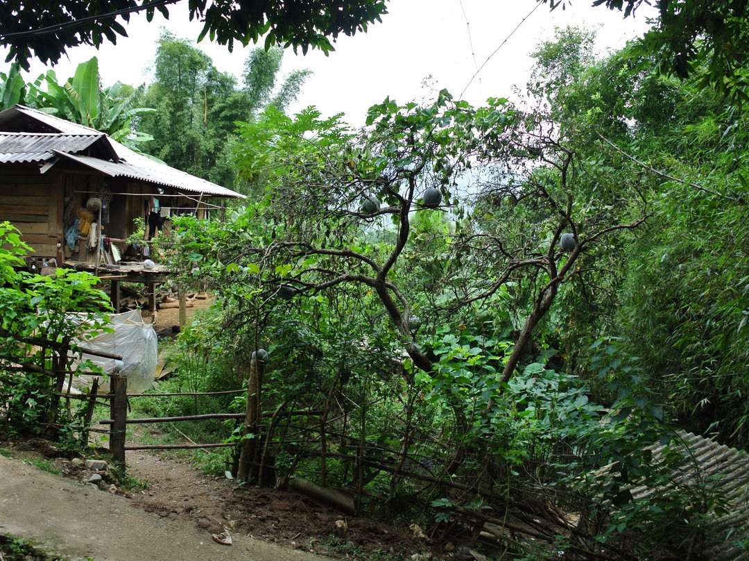 Tu Le Valley-Van Chan District必去景点