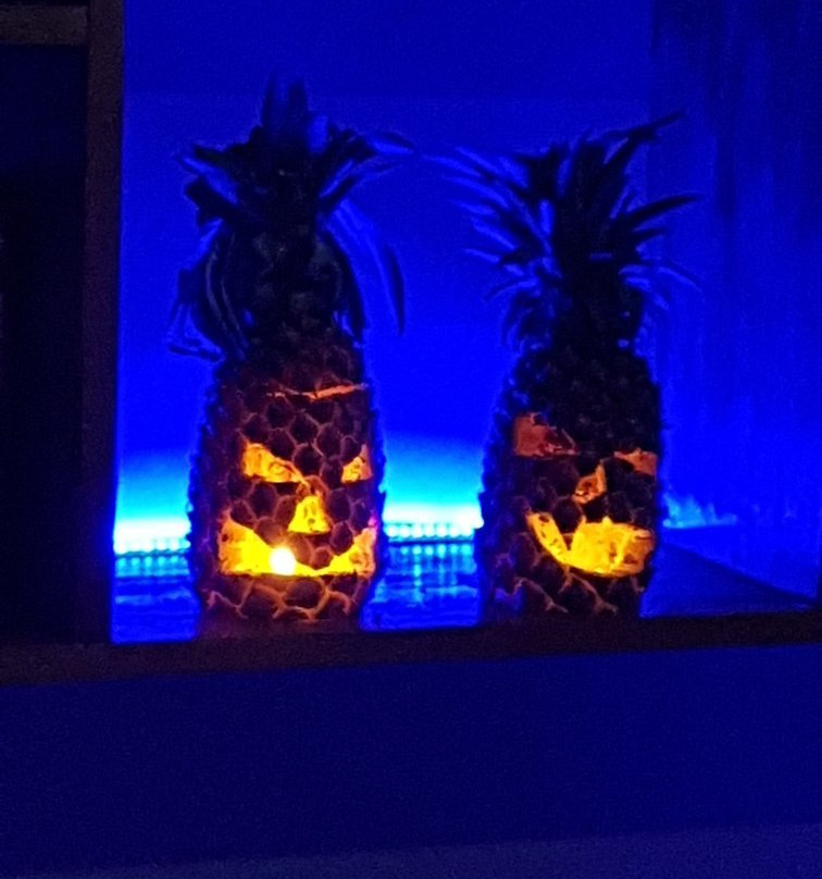 Jack & Daniels Bar-西哈努克必去景点