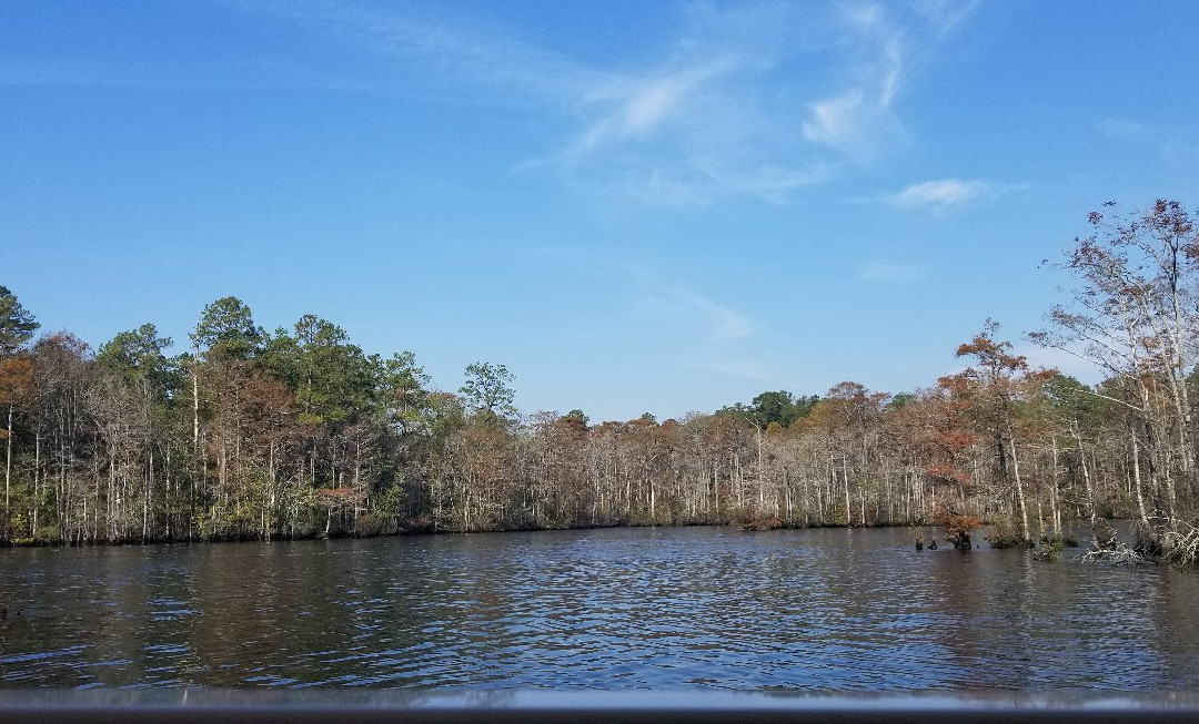 Waccamaw River Tours-美特尔海滩必去景点