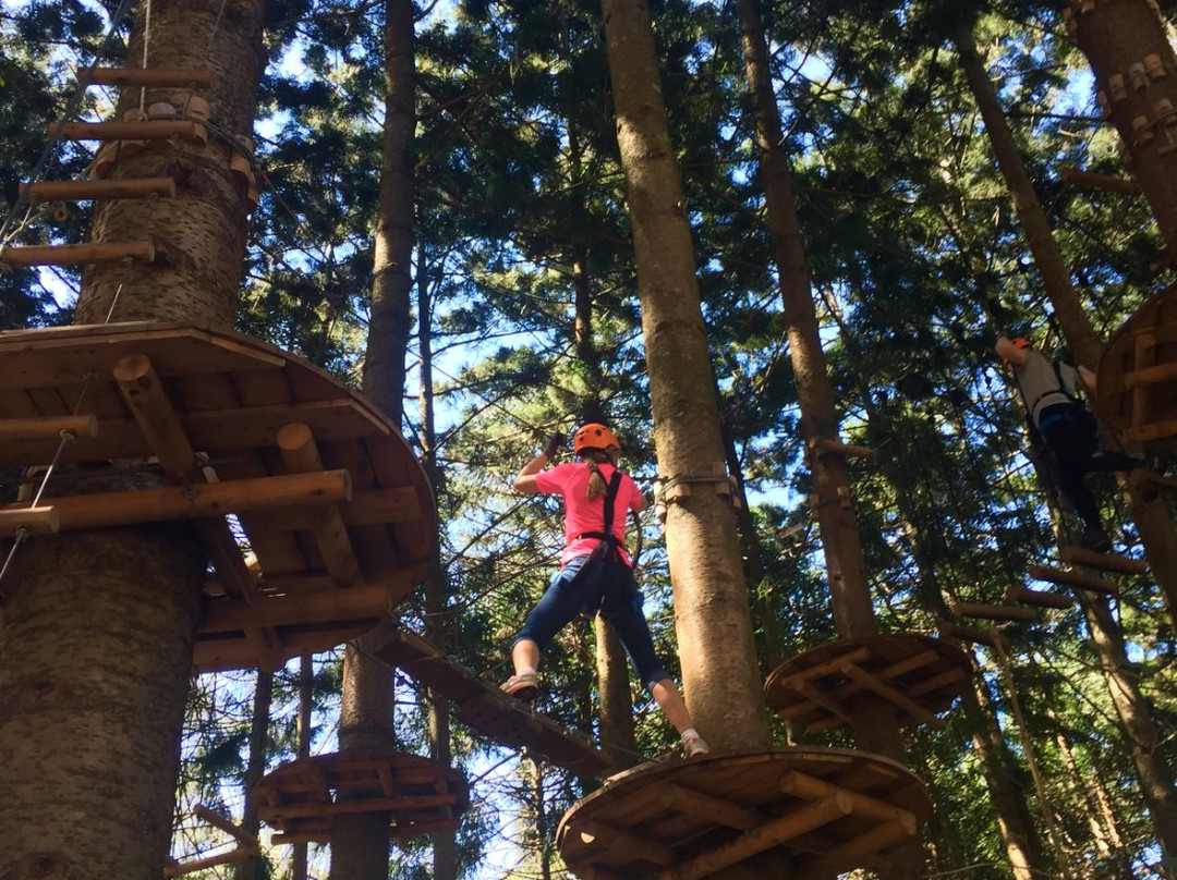 Treetops Adventure The Hills景点图片