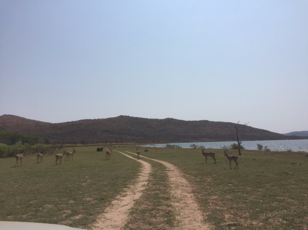 Loskop Dam Nature Reserve景点图片