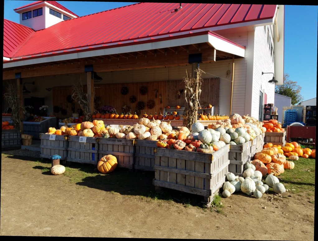 Applecrest Farm Orchards-Hampton Falls必去景点