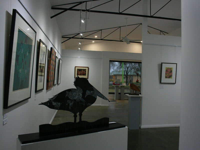 Wacky Bird Gallery景点图片
