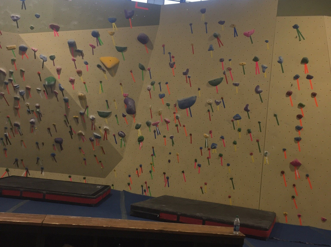 Philadelphia Rock Gyms - East Falls景点图片