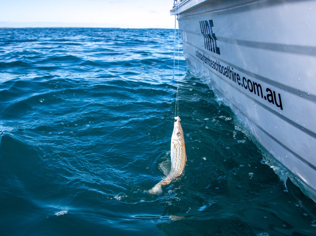EP Boat Hire-Mount Dutton Bay必去景点