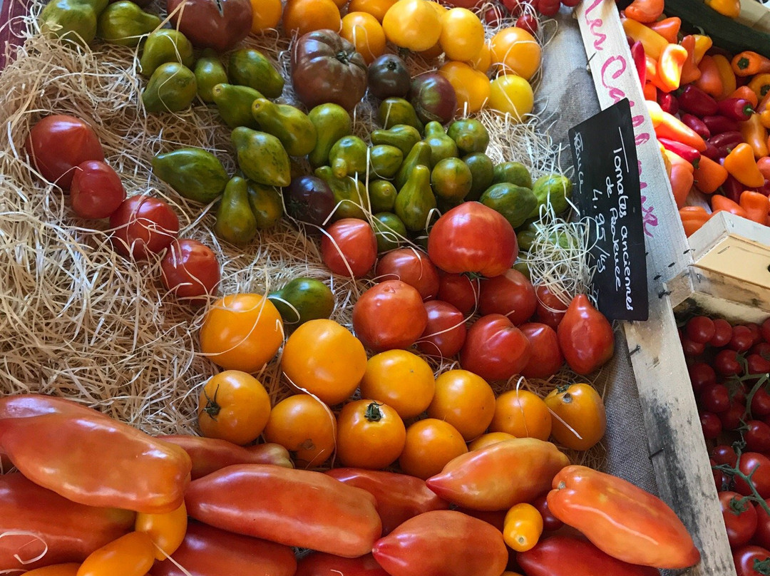 Marche Provencal-Bedoin必去景点