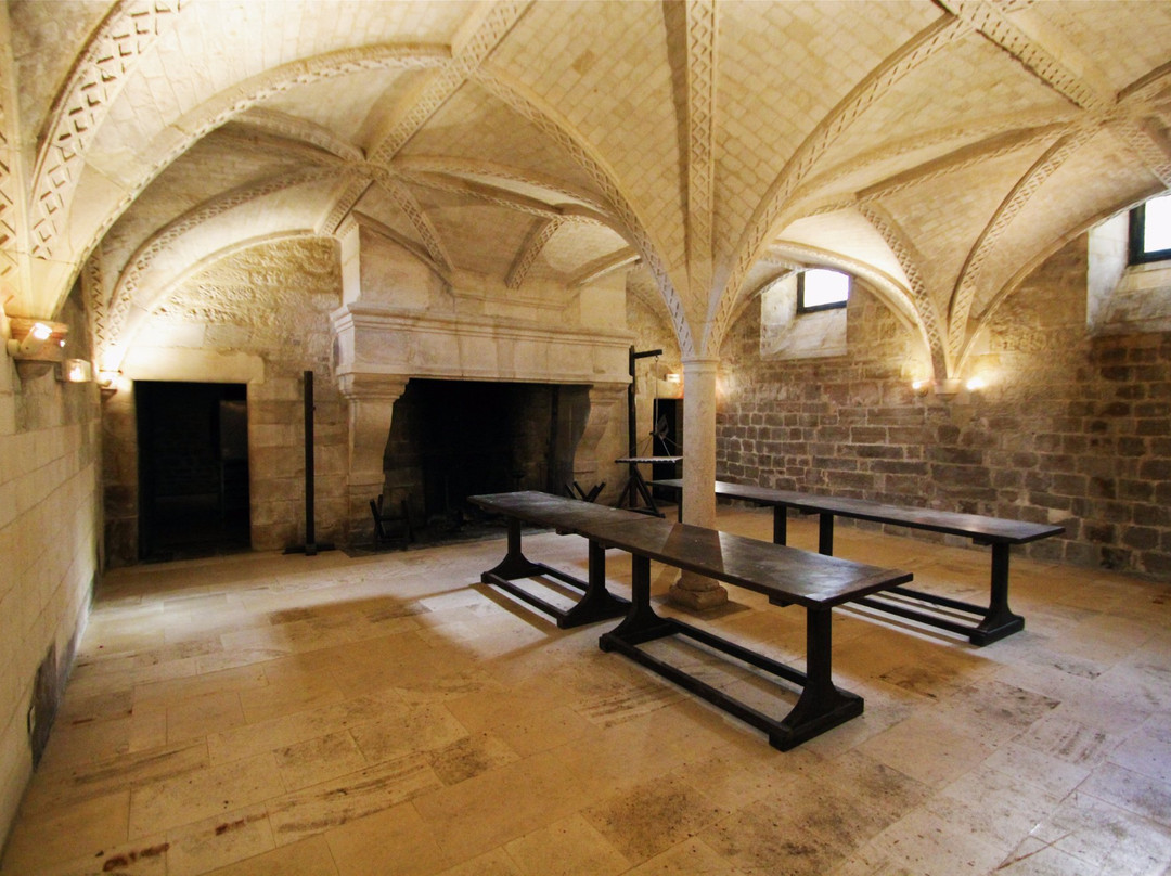 Château Renaissance de Coulonges-sur-l'Autize景点图片