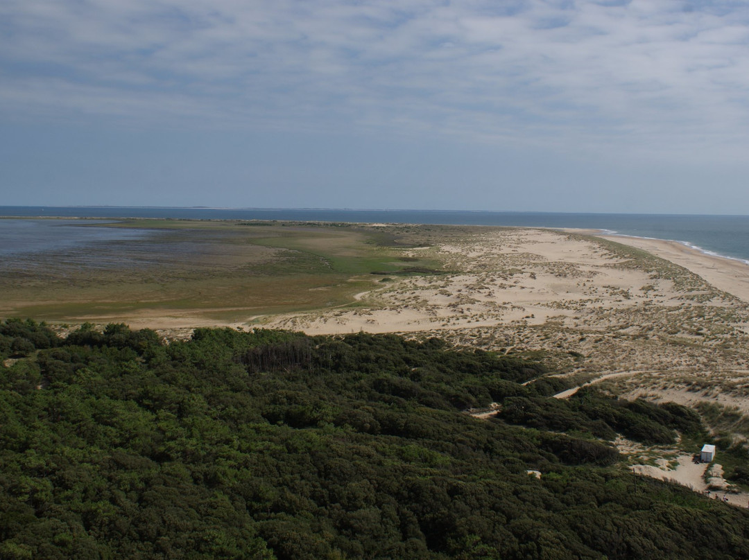 Côte Sauvage de la Presqu'île d'Arvert景点图片