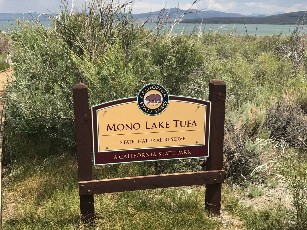 Mono Lake County Park景点图片