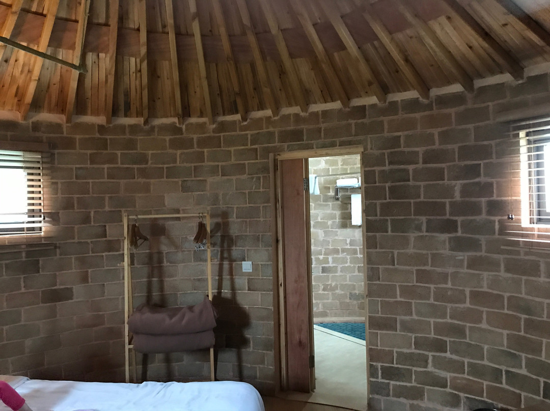 泰生天地-崇明县必去景点