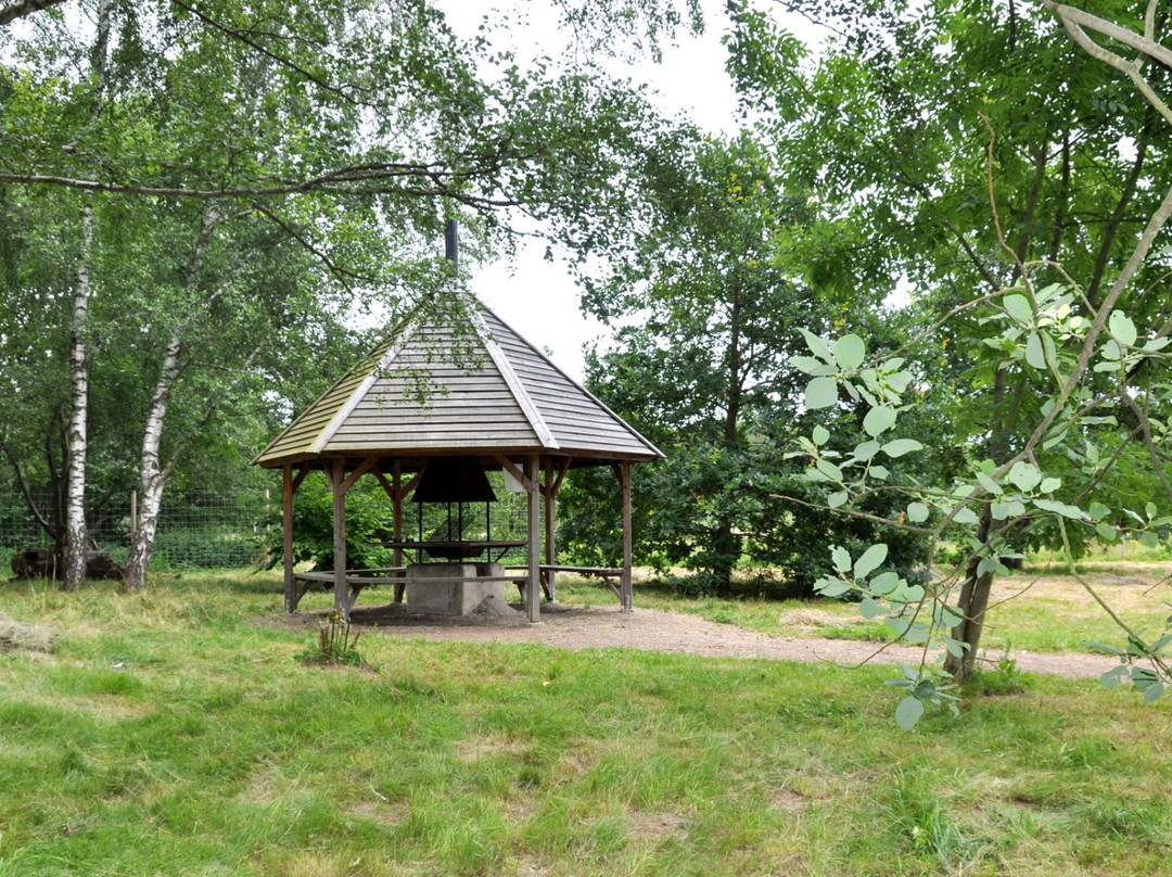 Ättekulla Naturreservat-赫尔辛堡必去景点
