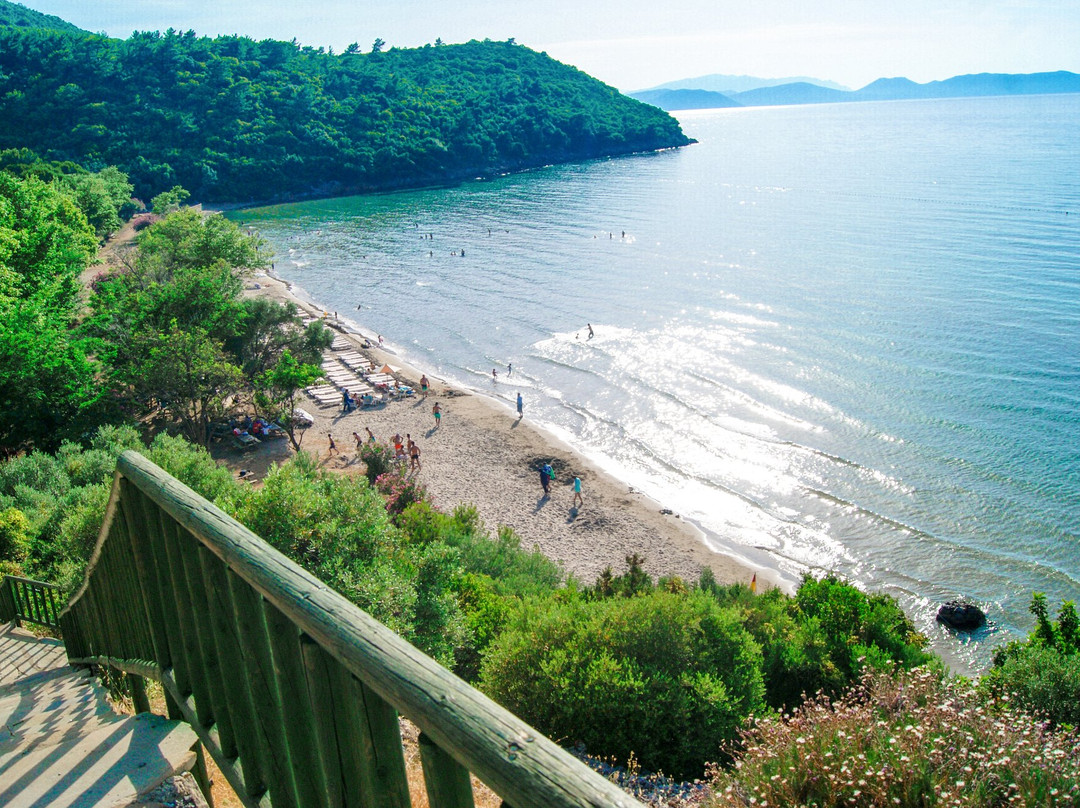 艾登旅游攻略图片