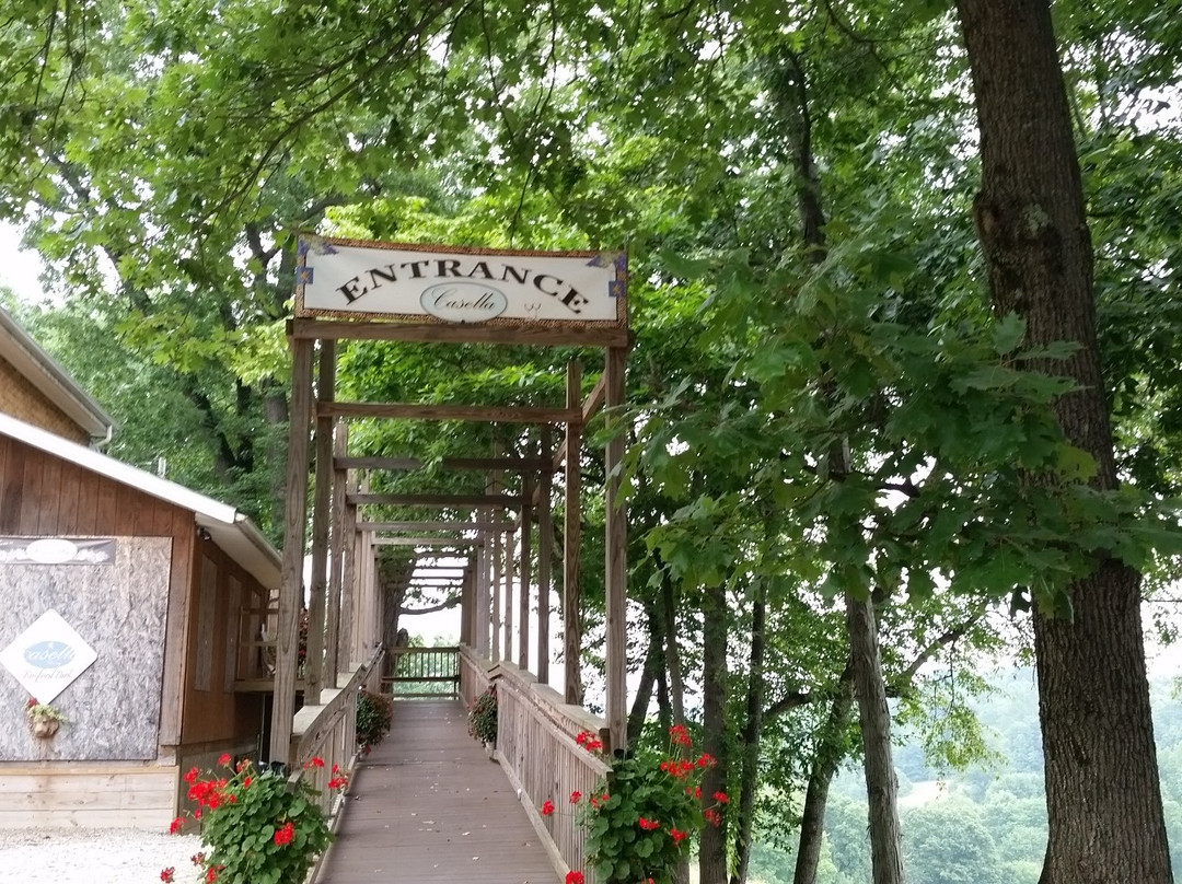 Casella Winery景点图片