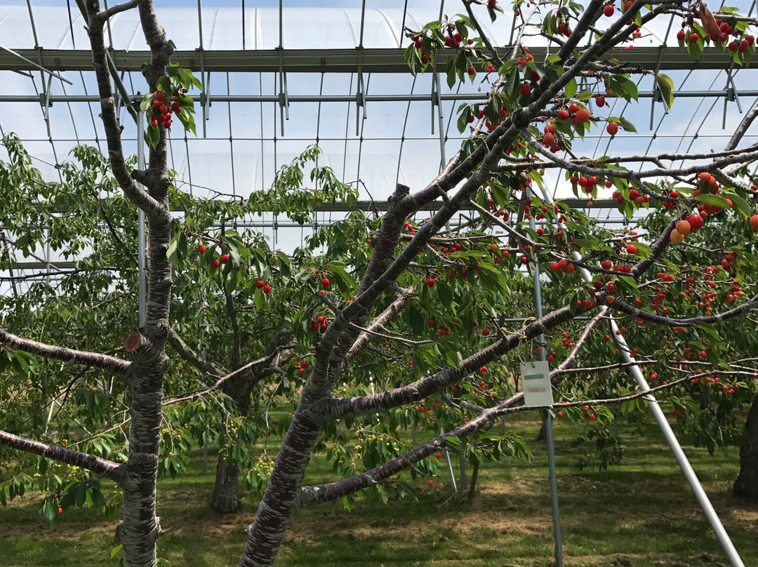 Yokoyama Fruit Farm-网走市必去景点