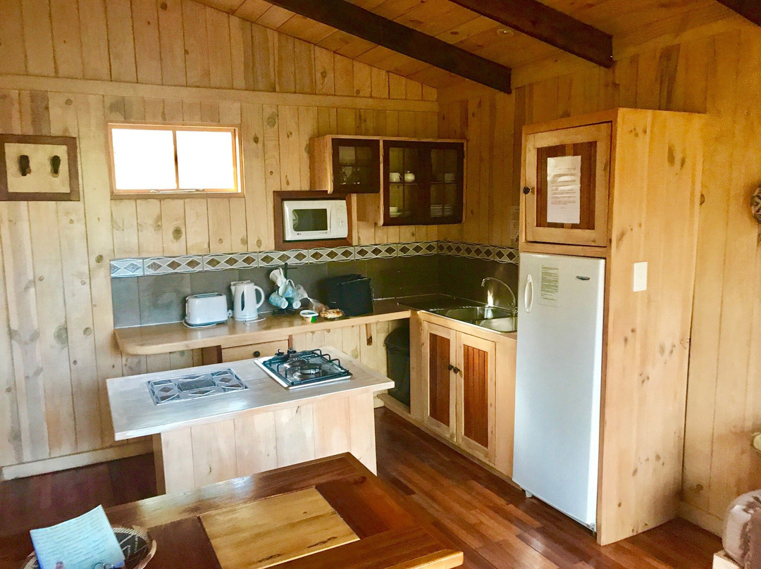 Fern Gully Forest Cabins