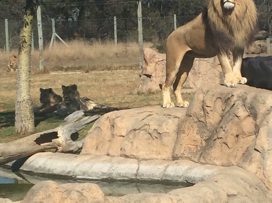 Caesar's Bush Palace-瓦尔沃特必去景点