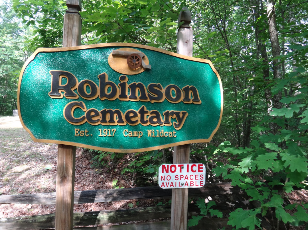 Camp Wildcat Battlefield-London必去景点