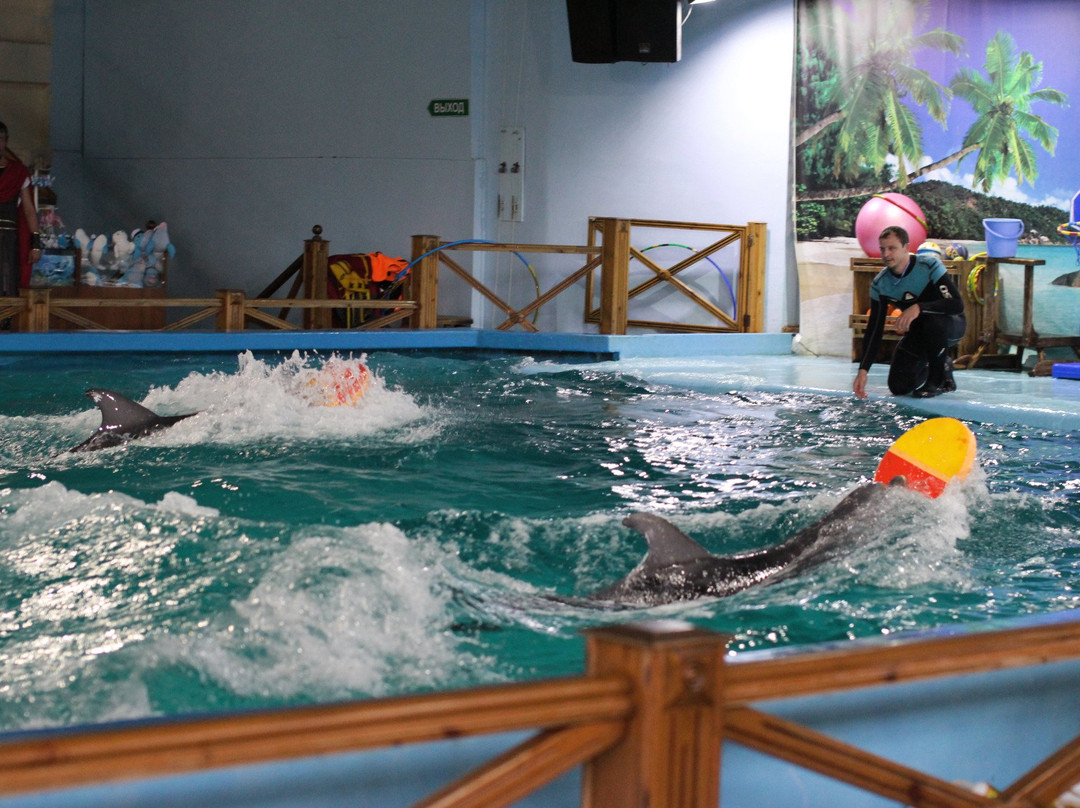 Dolphinarium Kolizey景点图片