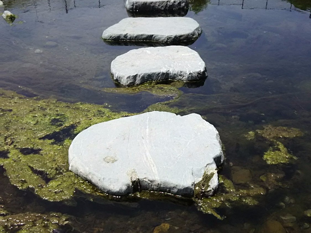 Waterpark Shirayama-横濑町必去景点