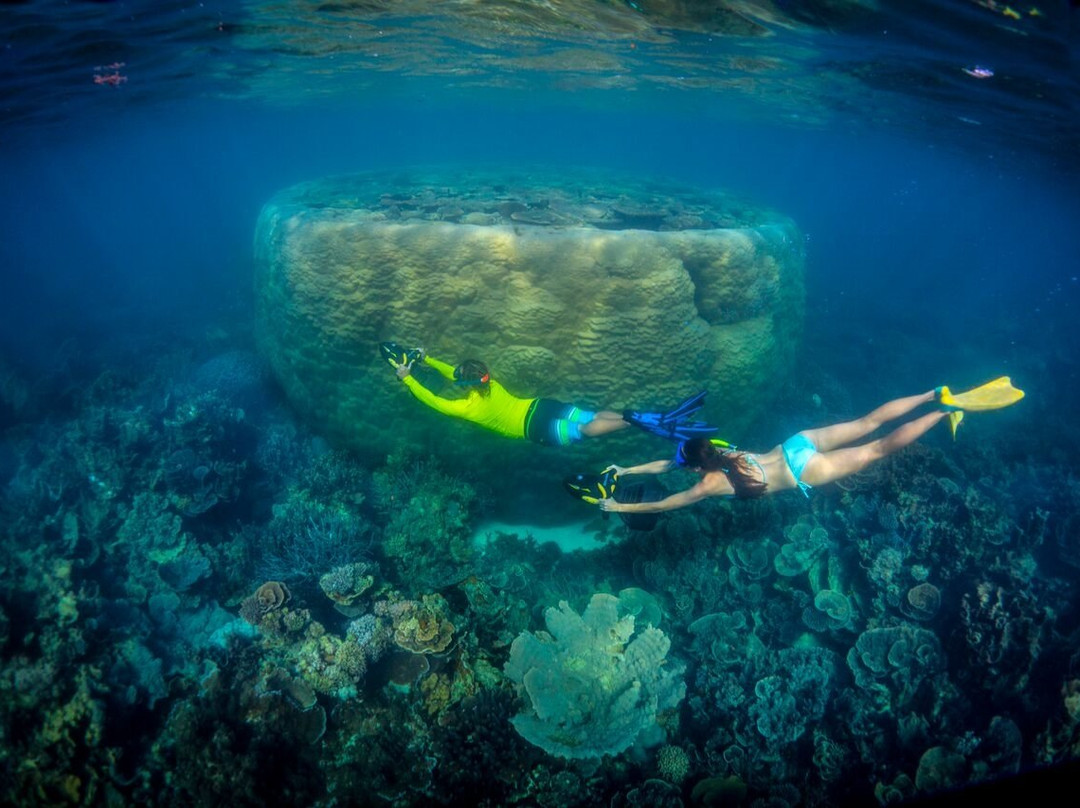 Ningaloo Kayak Adventures景点图片