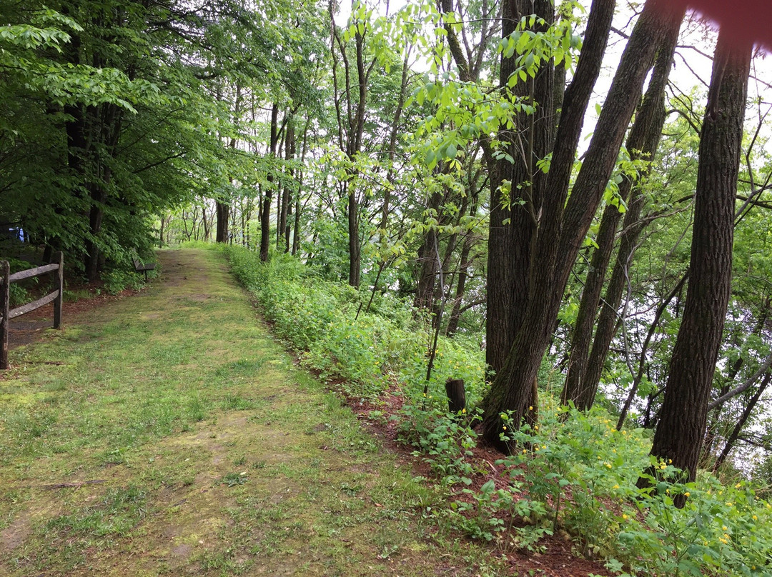 Wilgus State Park-Springfield必去景点