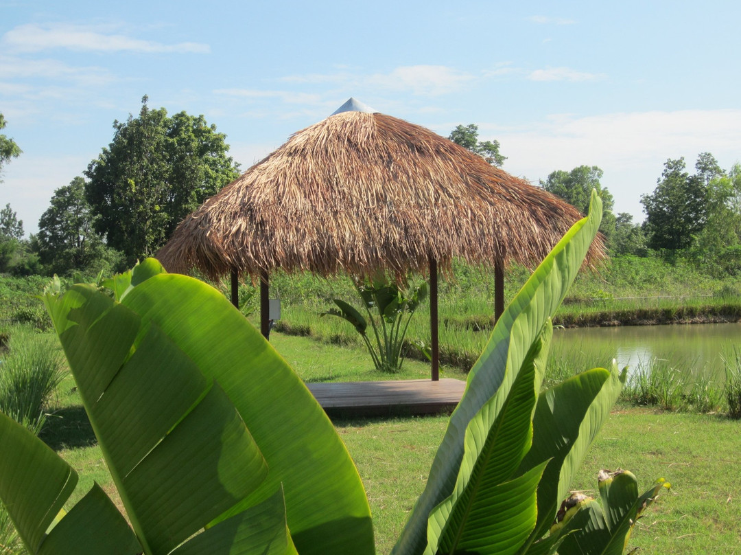 Siamese Carp Fishing Lakes Thailand景点图片