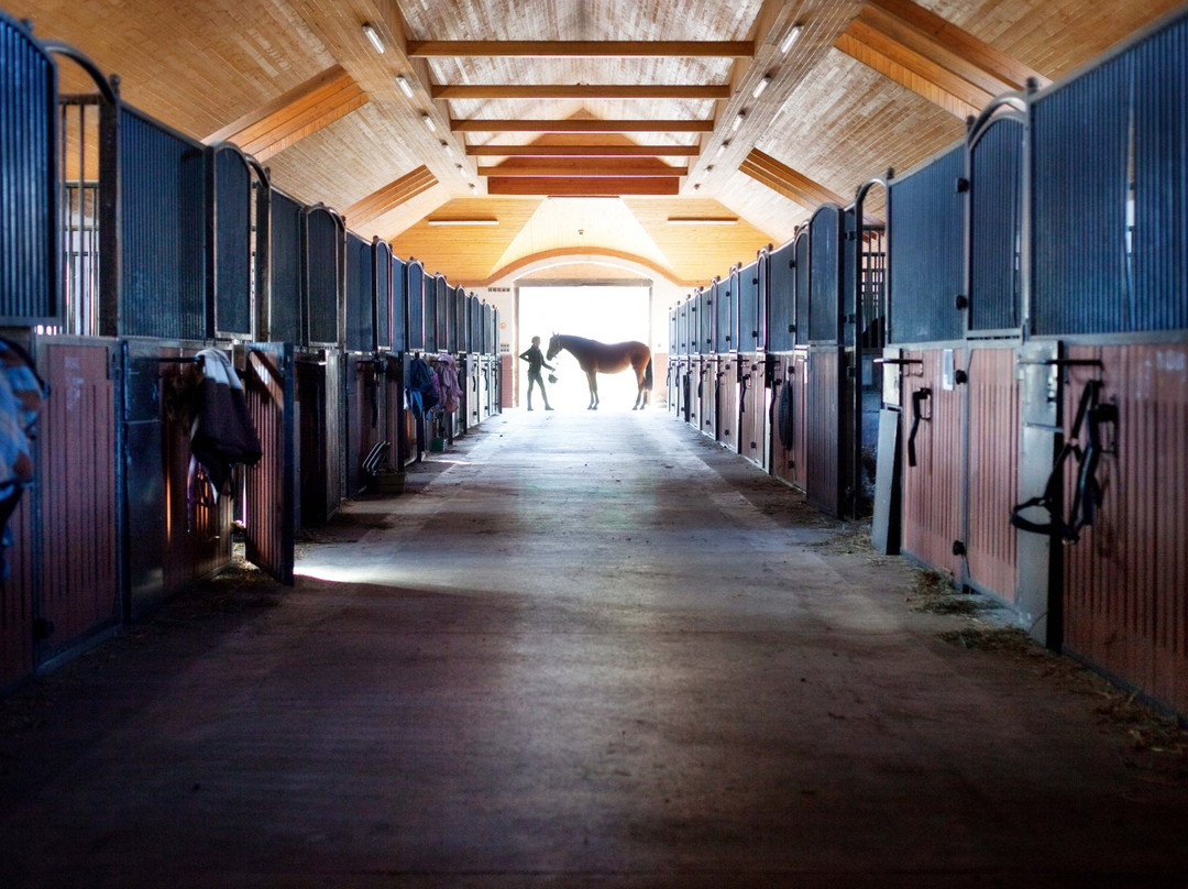 Stable Gostar景点图片