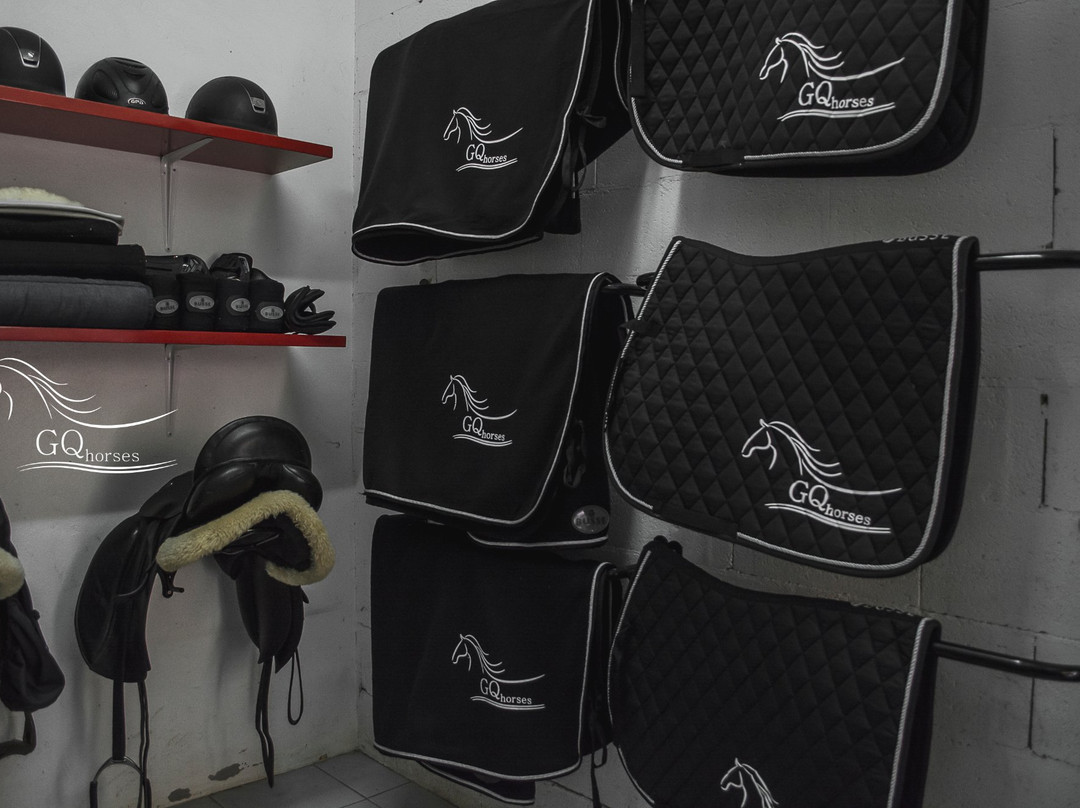 GQhorses-Gafanha da Boa-Hora必去景点