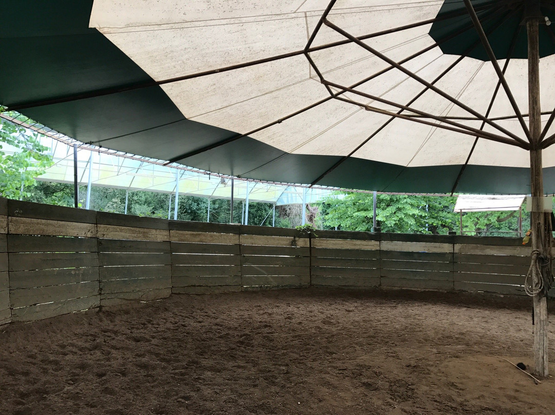 Natura e Cavallo-Tolfa必去景点