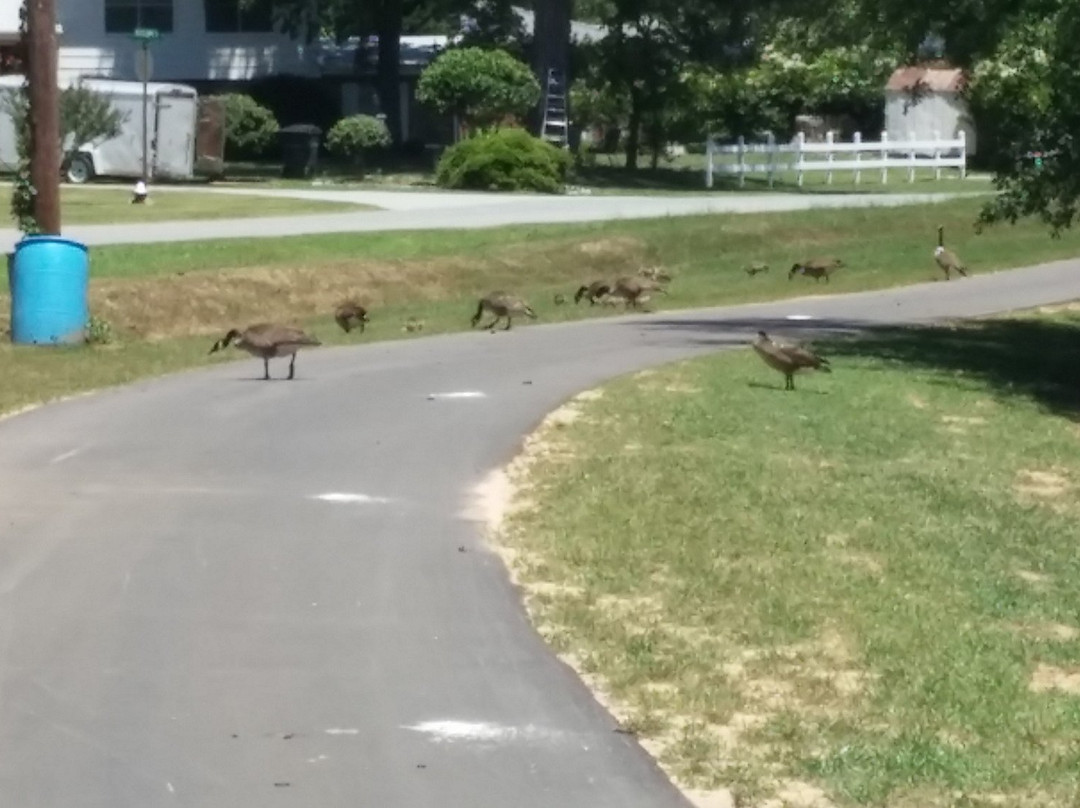 Walker's Pond-华纳罗宾斯必去景点
