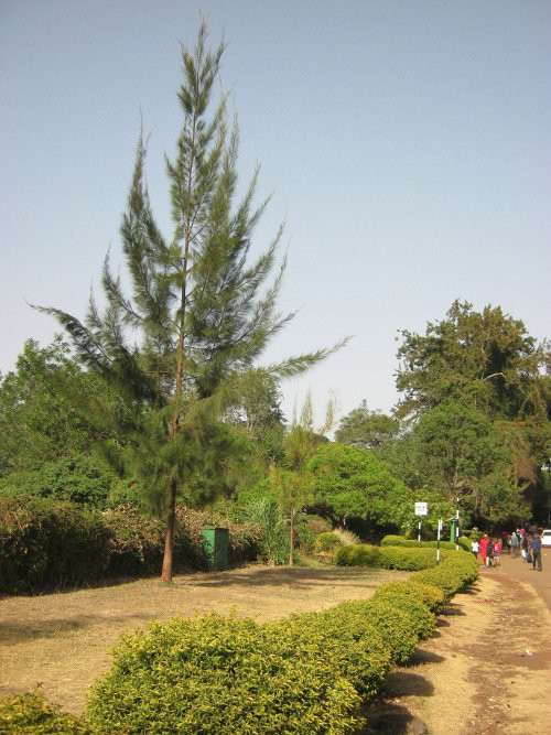 City Park-内罗毕必去景点