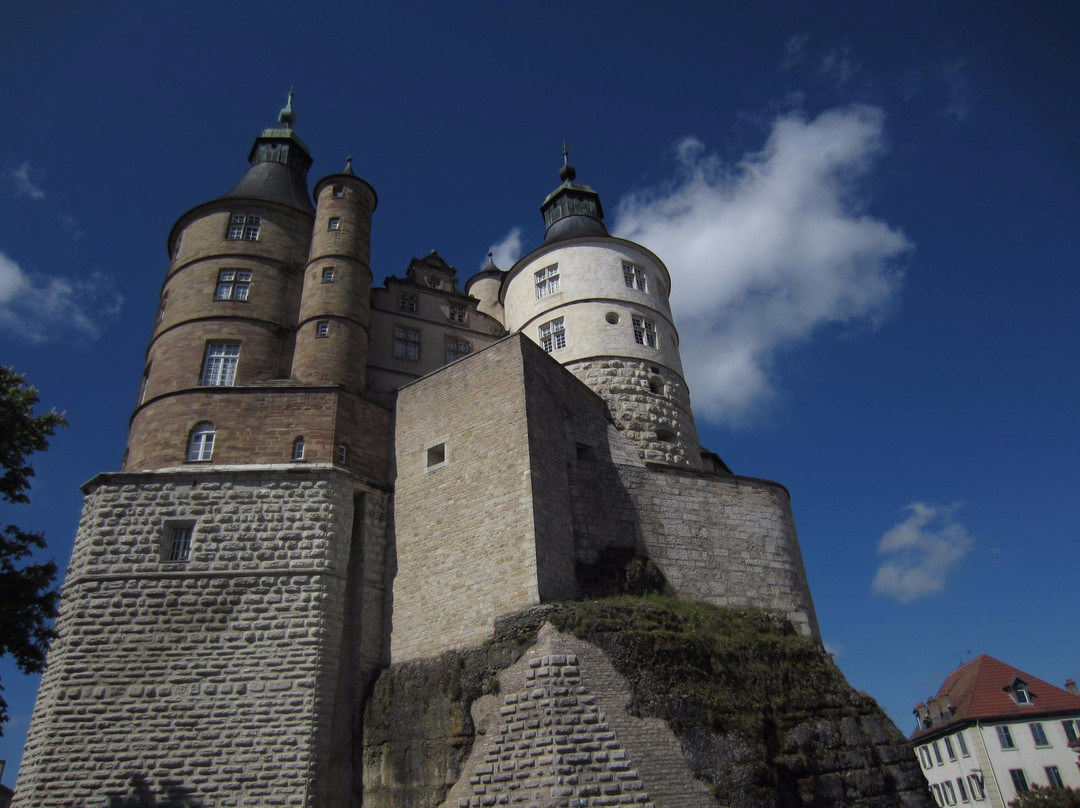 Office de Tourisme du Pays de Montbeliard景点图片