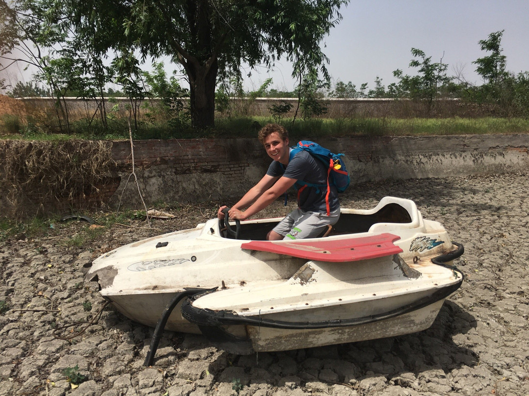 金鹭鸵鸟园-郑州市必去景点