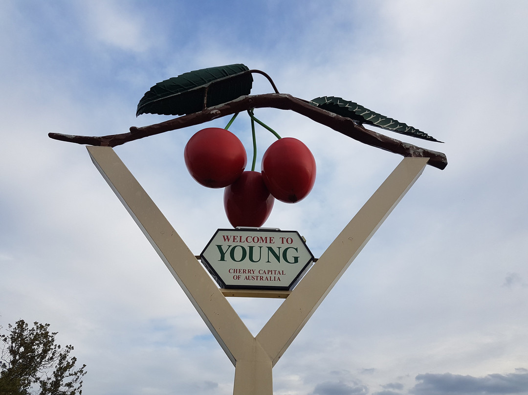 Young Visitor Information Centre-Young必去景点