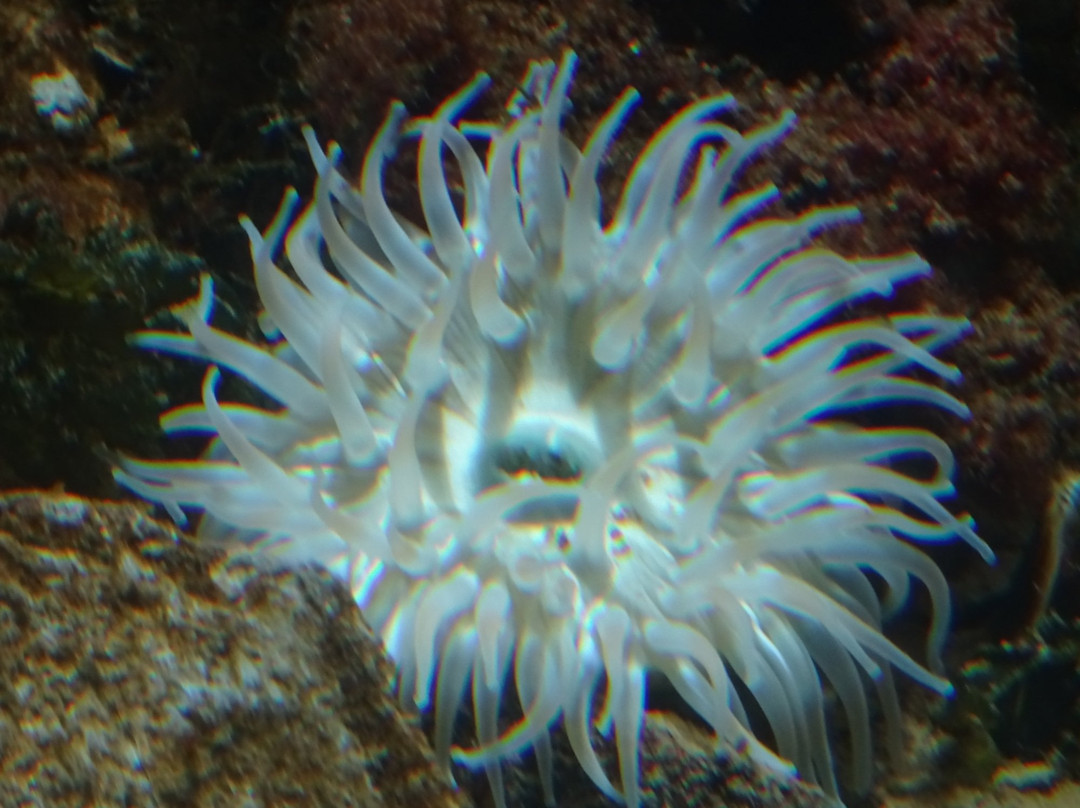 Nationaal Park Oosterschelde-Colijnsplaat必去景点