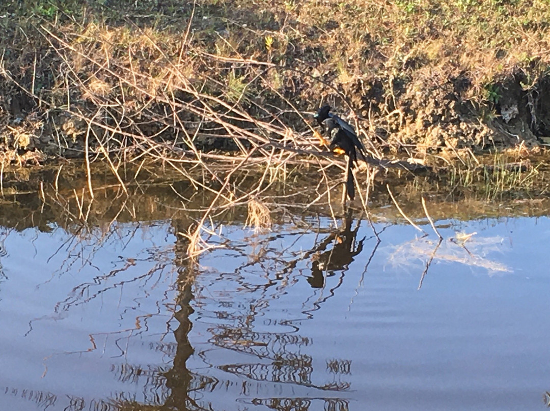 Volunteer Park-劳德代尔堡必去景点