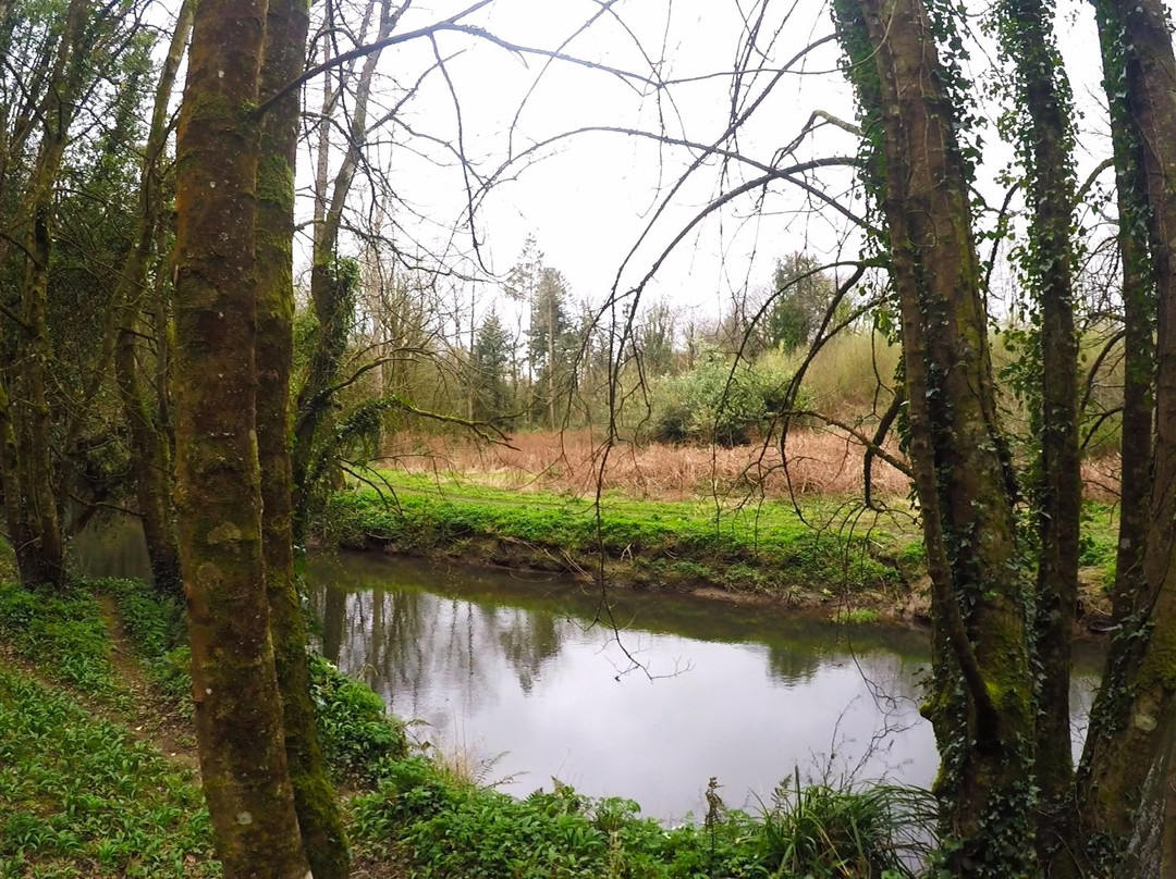 Courtown Woods-Gorey必去景点