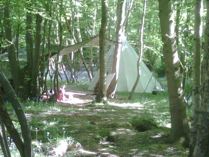Really Wild Bushcraft景点图片