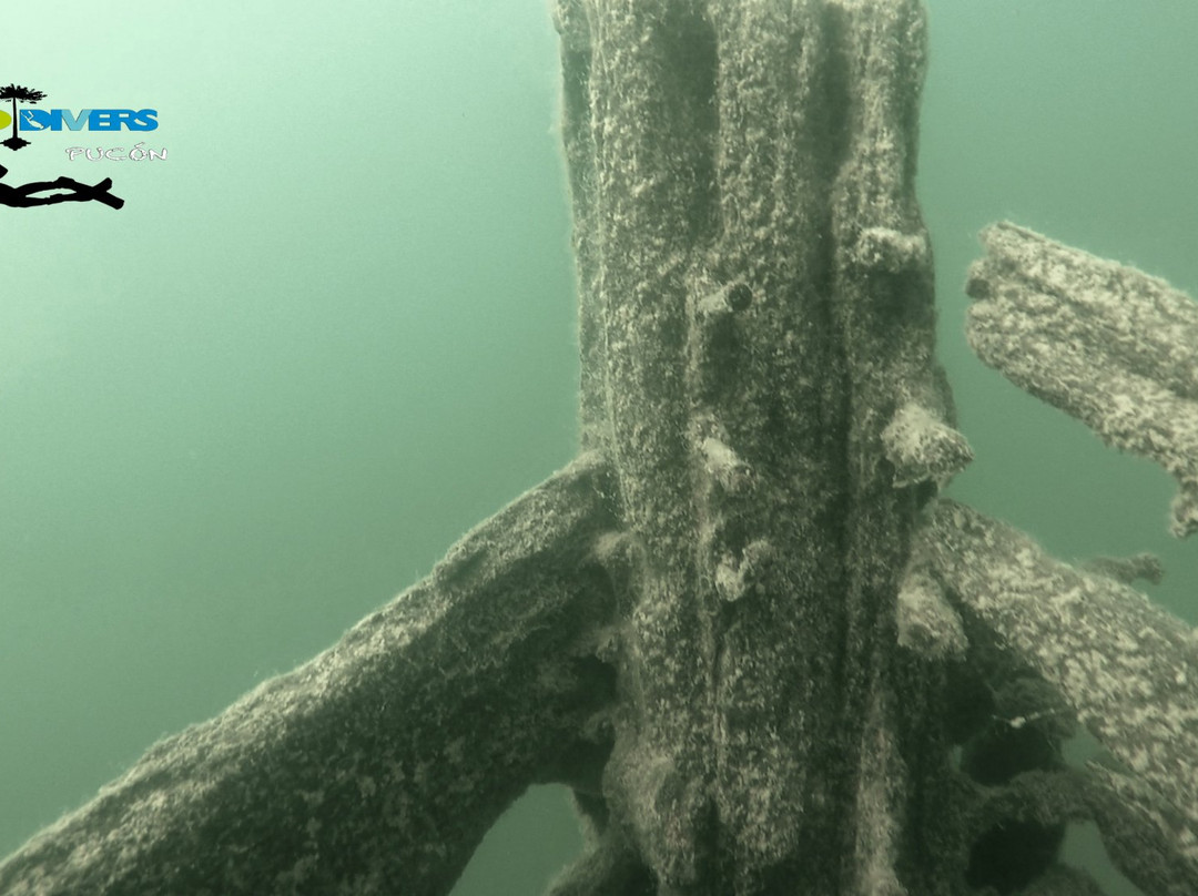 Ecodivers Pucon-普孔必去景点