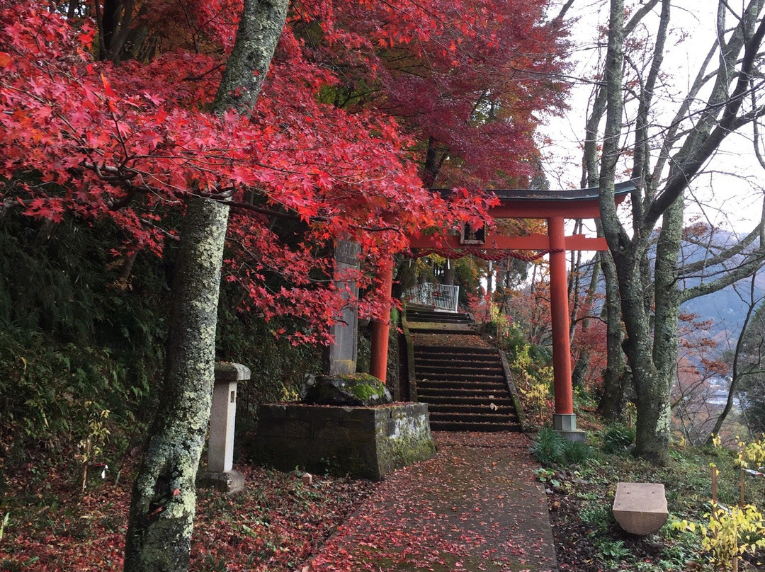 Kakyo Park-越前市必去景点