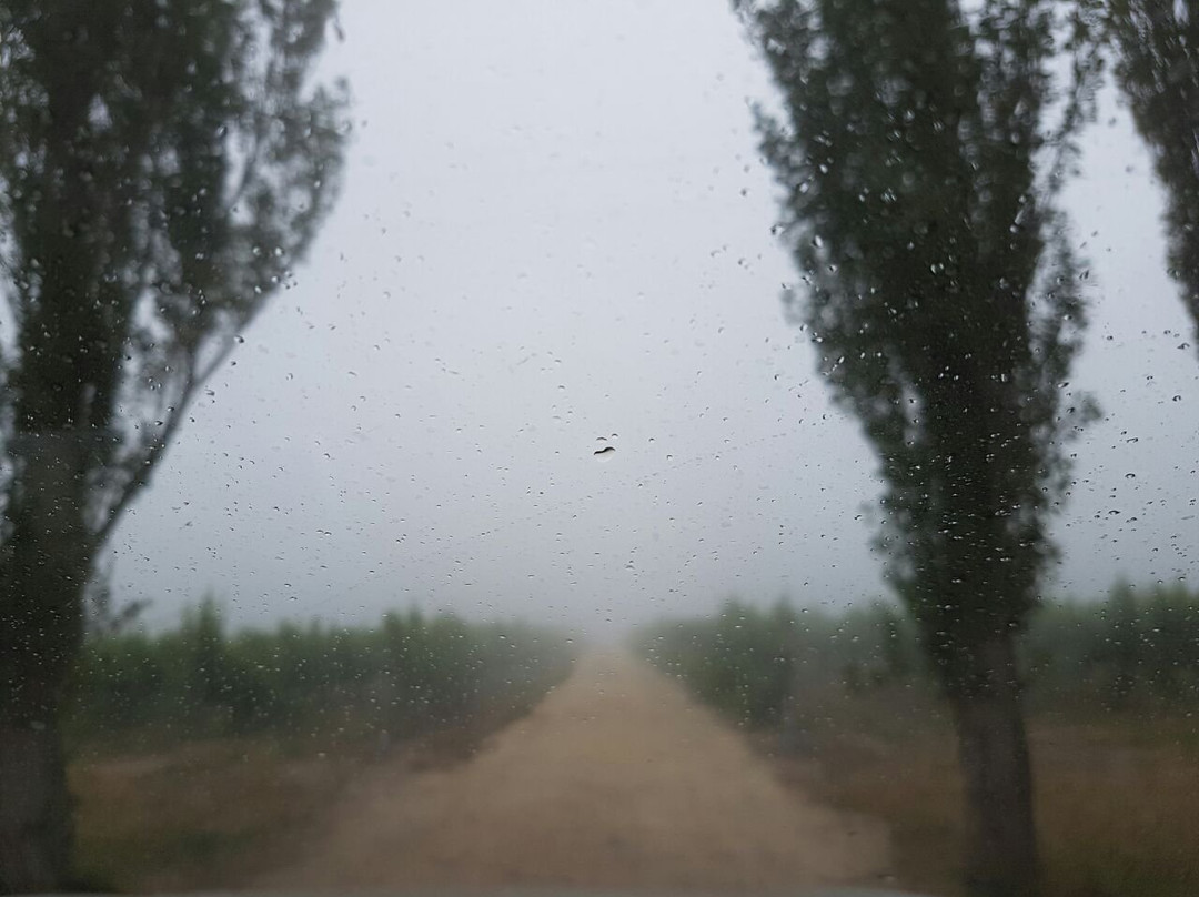 Iona Wines-Elgin必去景点