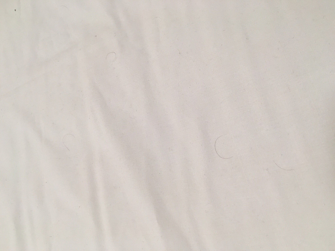 The Castle / Y Castell Pwllheli主图