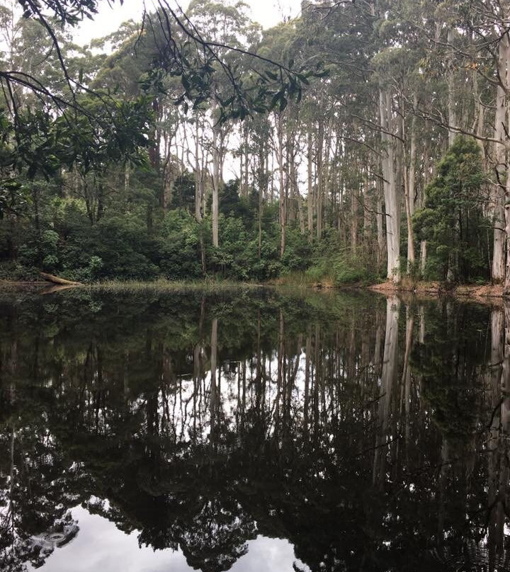 Sanatorium Lake-马其顿山必去景点