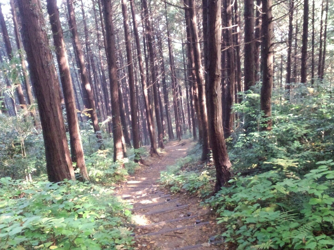Mt. Ohirayama-岚山町必去景点