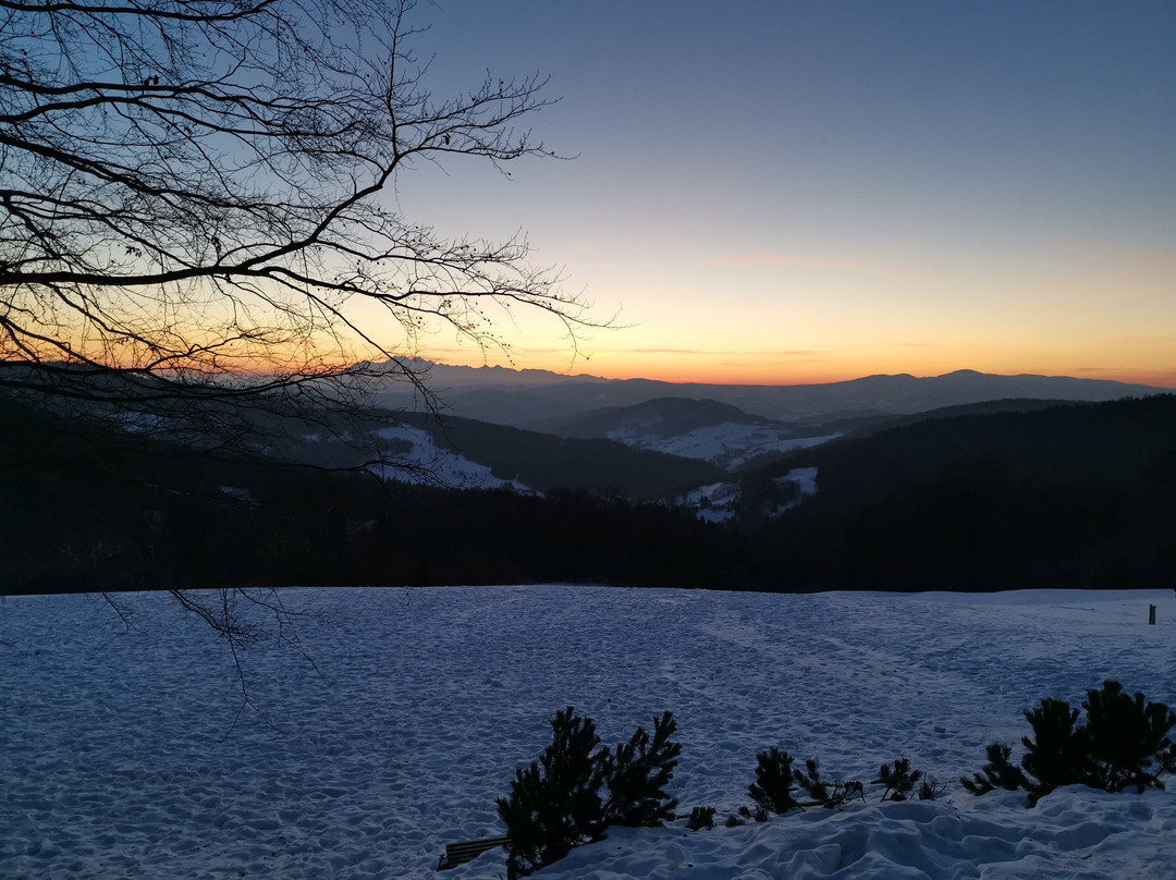 Polana nad Wierchomla-Muszyna必去景点