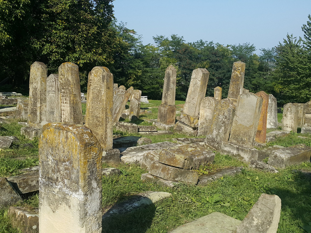 Moinesti Jewish Cemetery景点图片