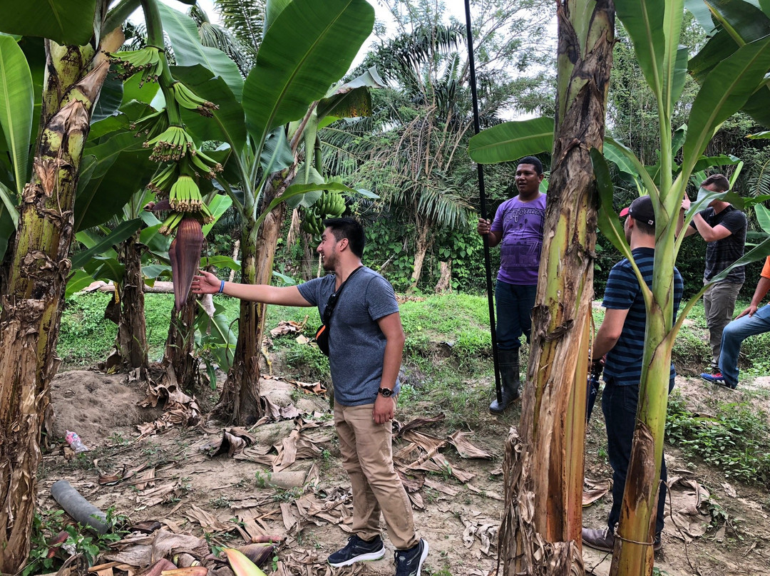 Gabostown Tours-Aracataca必去景点