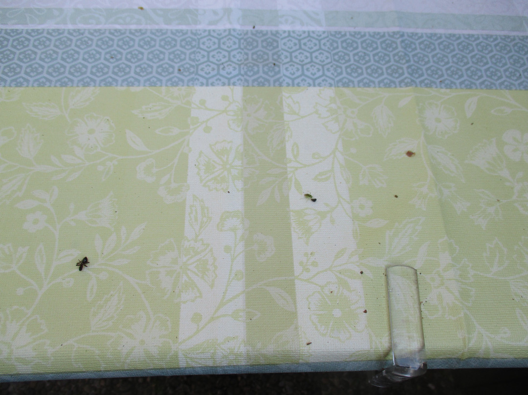 Pension Sonnhalde主图